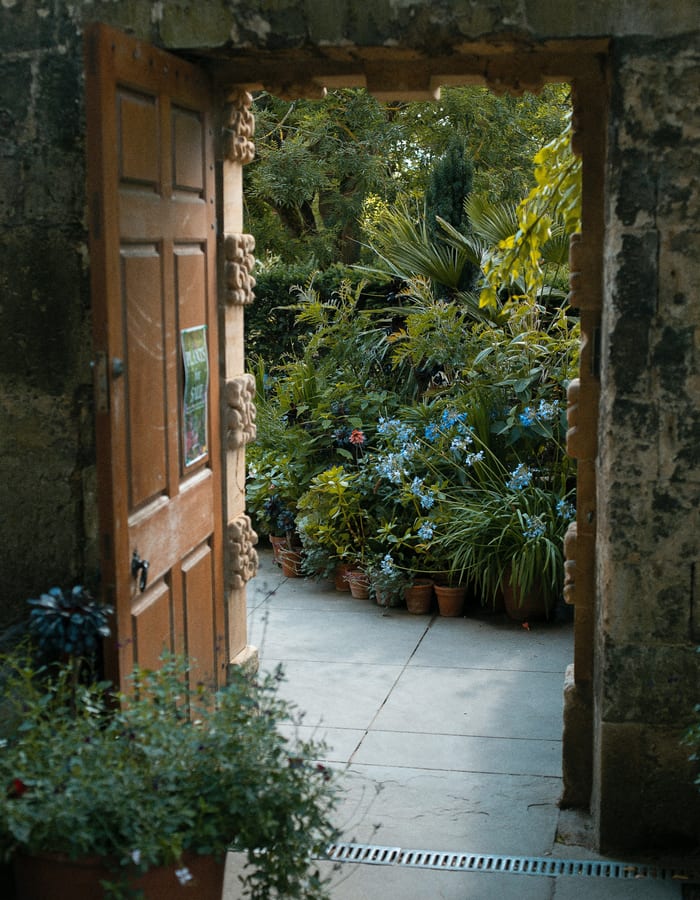 An open wooden door onto a courtyard full of plants.